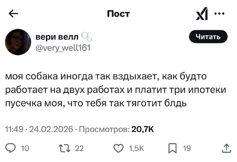 Собачьи проблемы — они такие.