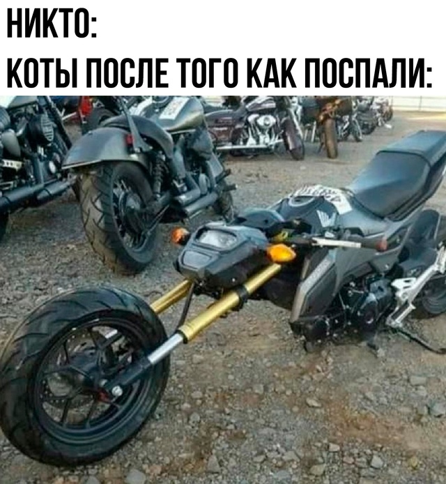 Железные тигры