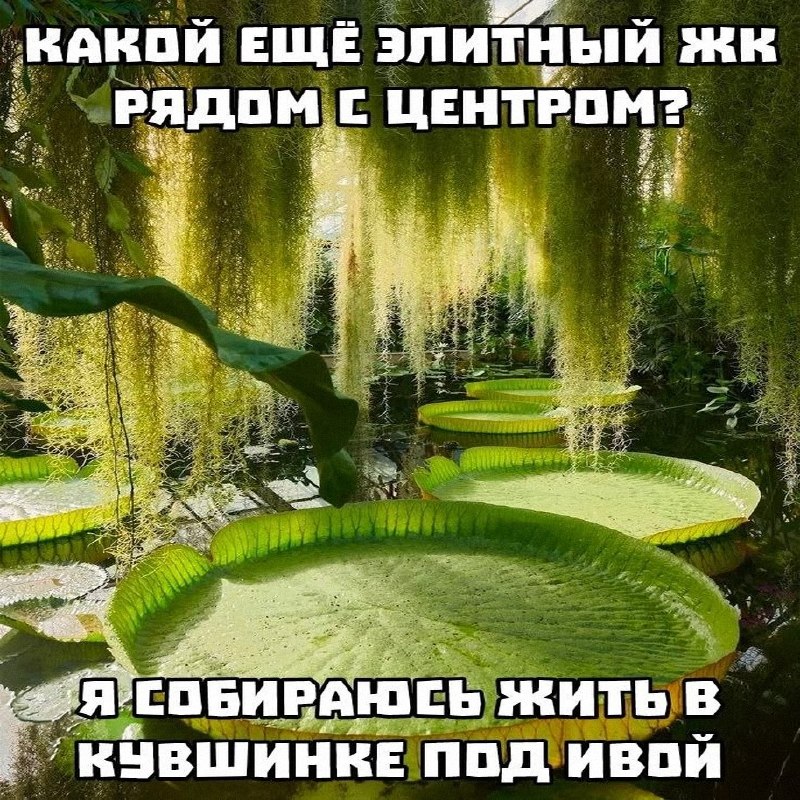 Утренняя подборочка