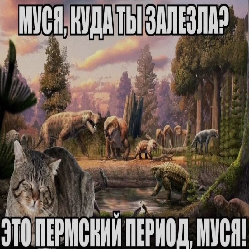 Ночная подборочка
Спать, режим