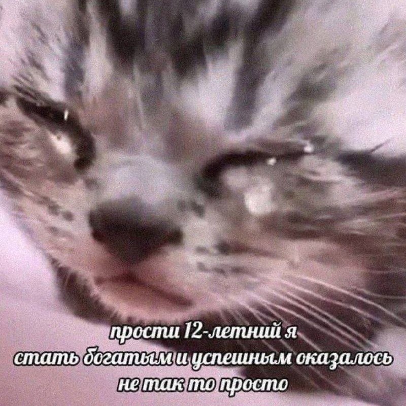 Утренняя подборочка