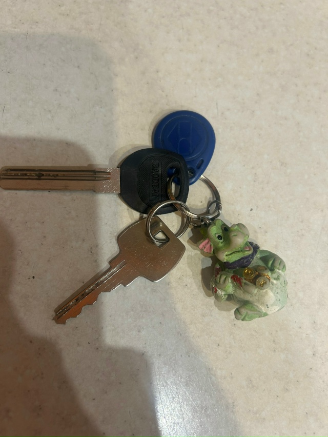 Фото 1. Найдены ключи у фикс прайса
[id140472613|Ирина Любимо?...