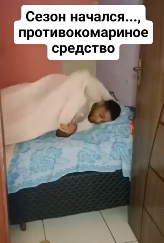 Эти паразиты точно не получат желаемое.
