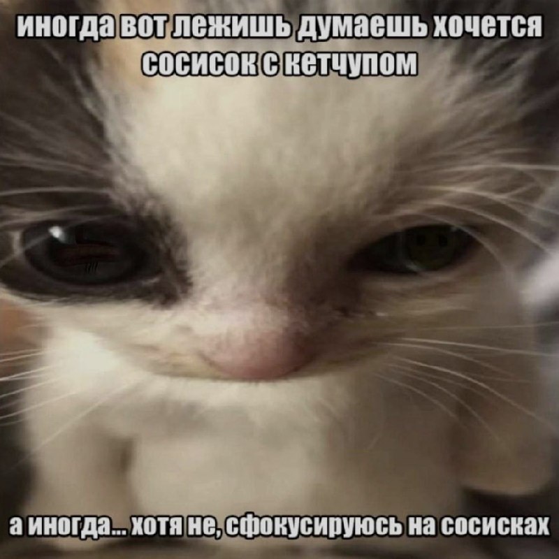 Ночная подборочка
Спать, режим