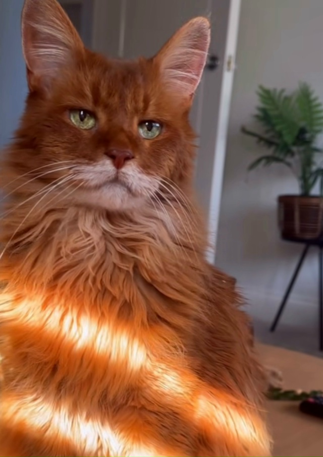 Вот они настоящие солнечные батареи зимой😍