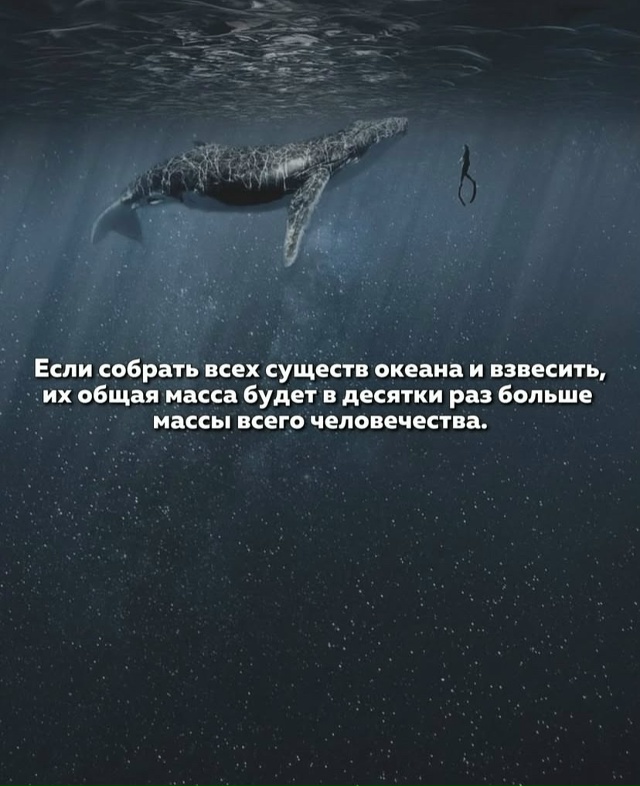 Интересные факты про Тихий океан.
