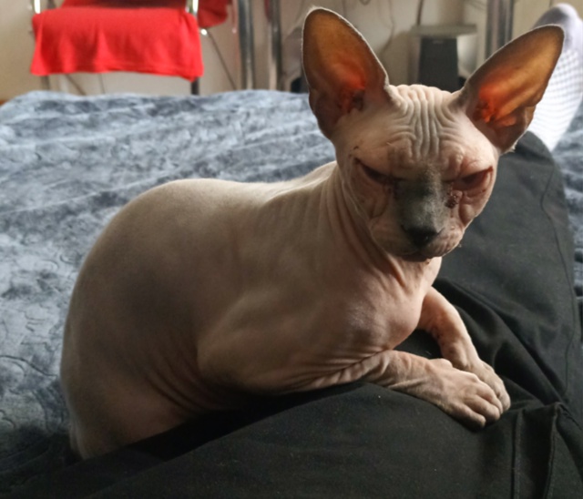 Фифи, 2 годика