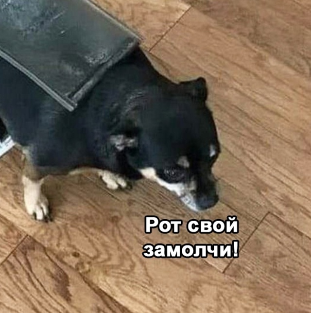 Все мы пытались