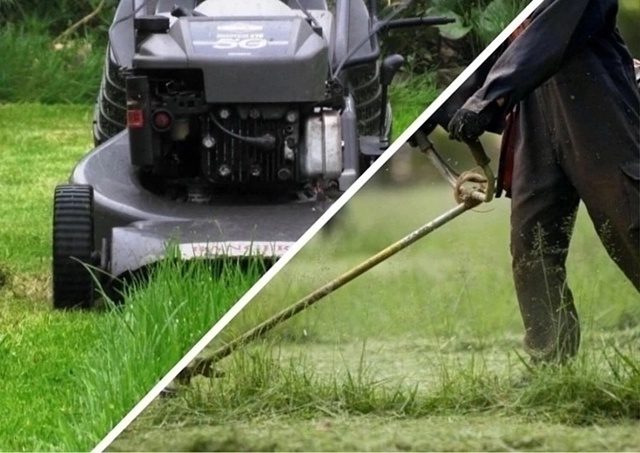 🌿 Услуги по покосу травы! 🌿
Устали от заросшего двора...