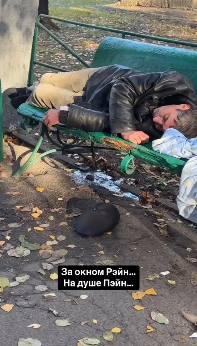 кто котика потерял?