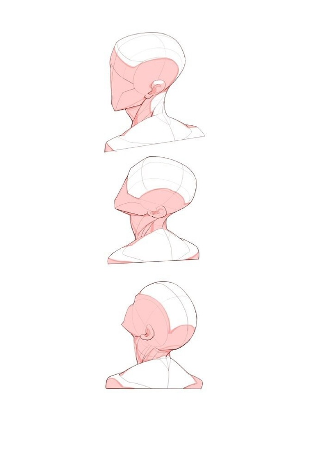 Голова
Tutorial