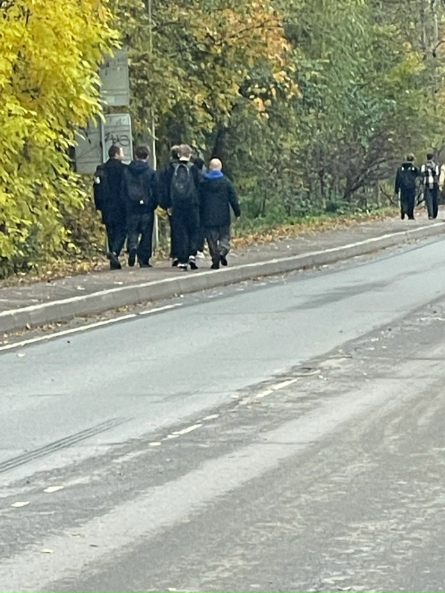 Не могу назвать иначе,но это самые настоящие обезьяны.
...