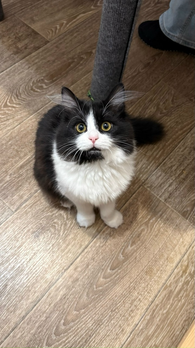 Соня очень недовольна из-за количества папарацци