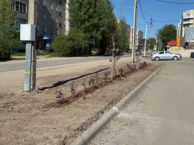 Ежедневно в нашем любимом городе проводятся мероприят...
