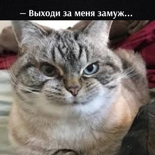 😂😂😂