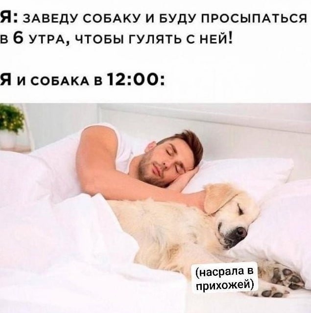 Доброго всем утра и отличного дня))