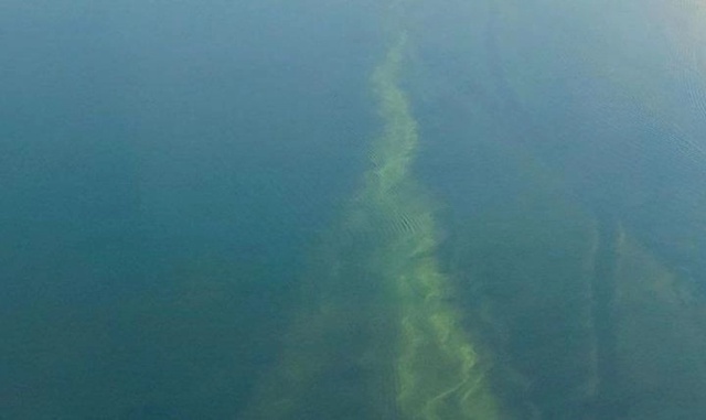 📍Волгу в Саратове захватили ядовитые водоросли: чем о...