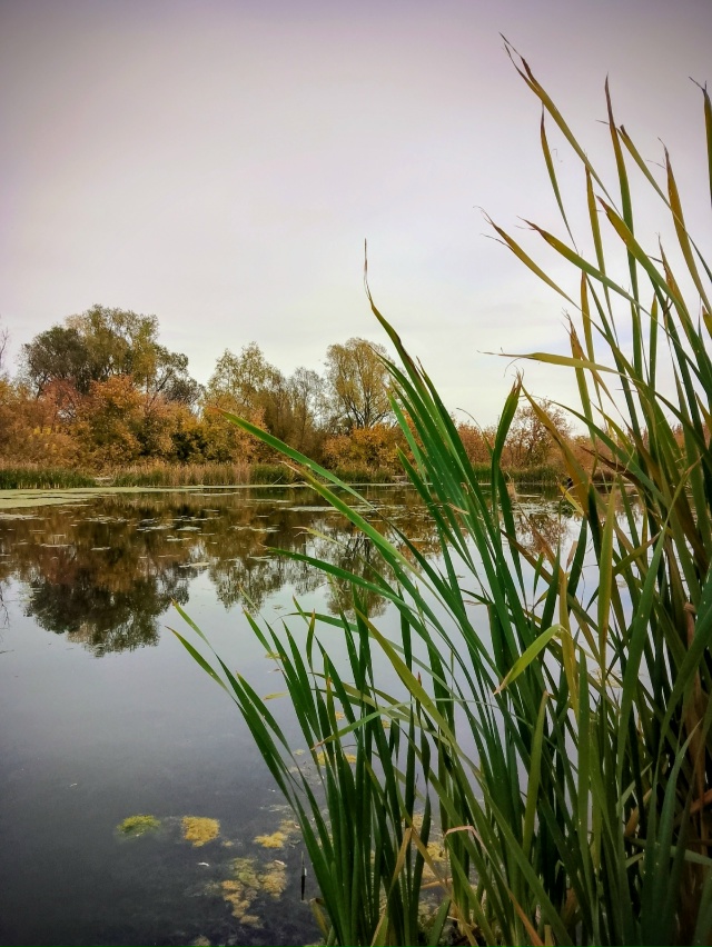 Фото от подписчика.
🤩Хочешь чтобы твоё фото было тут?...