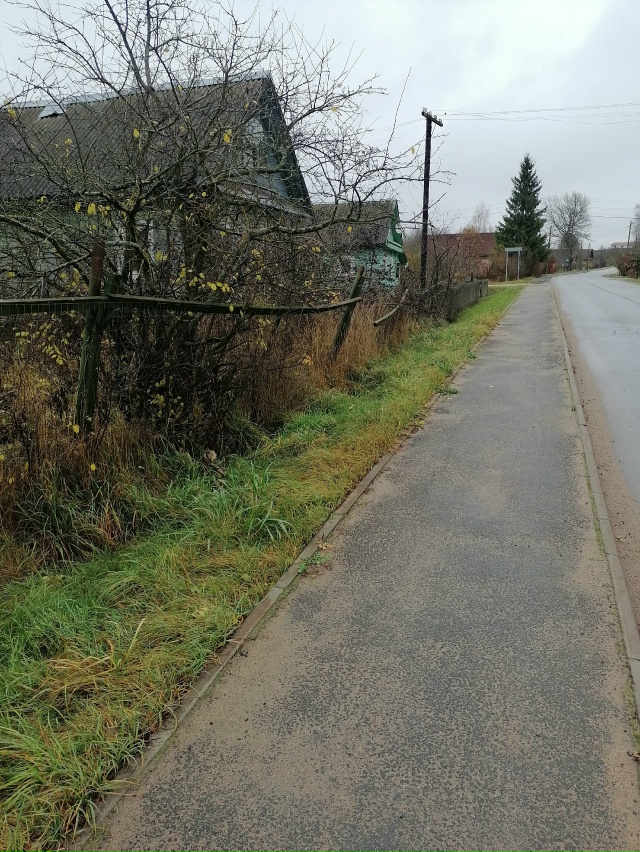 В Кисельне сбита кошка. Вся переломана, но живая, полза?...