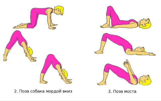 Пересылайте посты близким, ставьте реакции - это лучша?...
