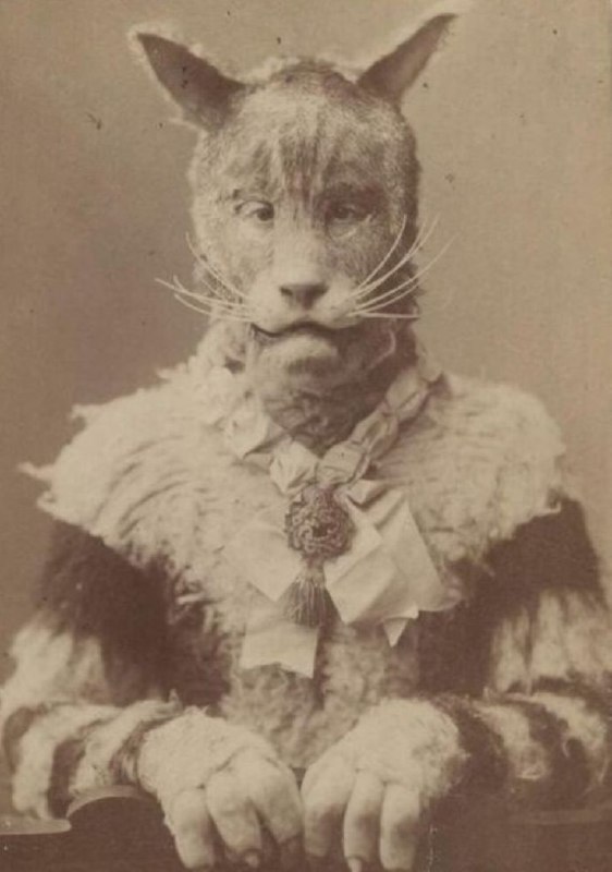 ⚡️Фурри появились в 19 веке 😯
Судя по исследованиям фурри-историков, первые фурри-костюмы в привычн