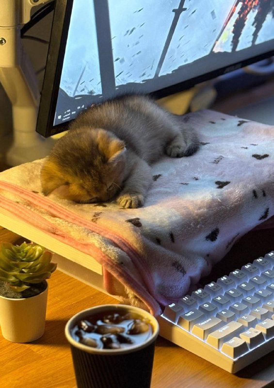 Ну выключай уже свой компюхтер и идем споть :3