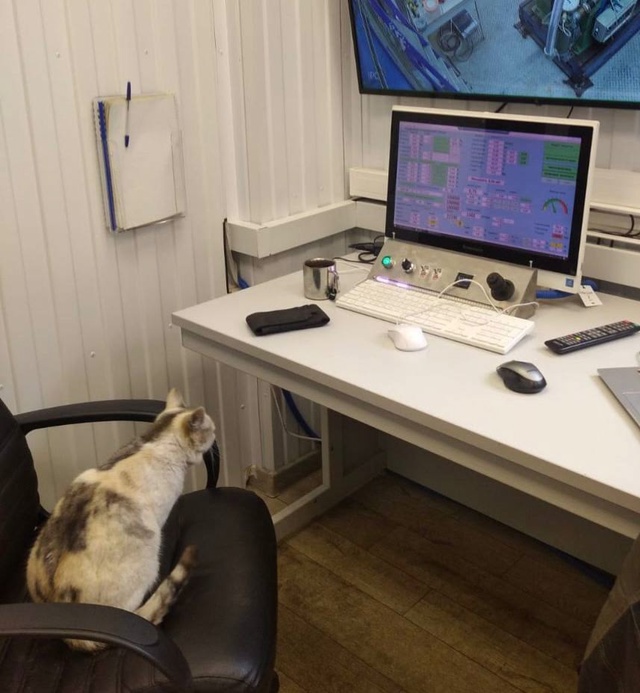 Анастасия Дмитриевна, вы спинку-то выпрямите, ебанарот...