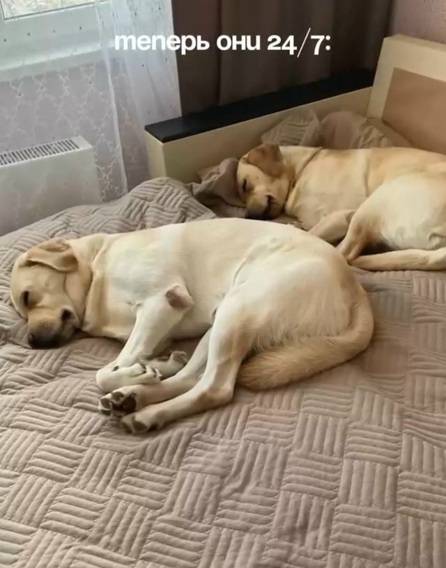 Главное - уют