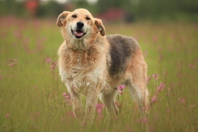 Санкт-Петербург и Ленинградская область
Моня: Десять л...