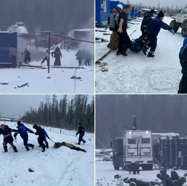 В Коми произошла трагедия — медведь напал на 55-летнего...