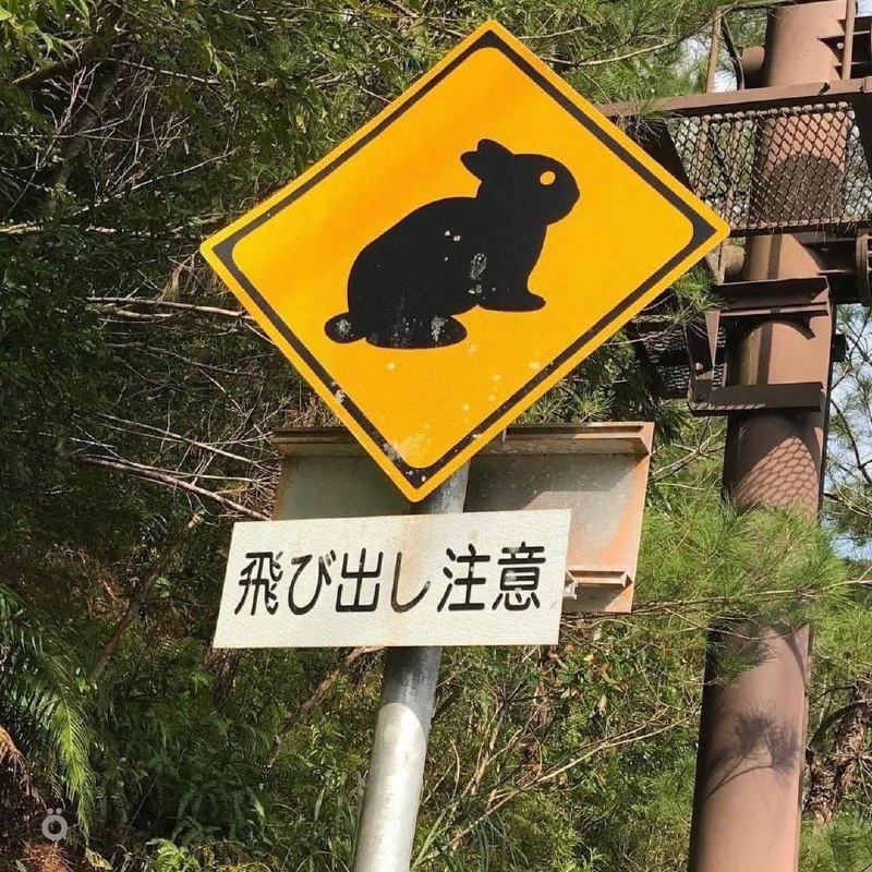 В Японии дорожные знаки предупреждают не только о поворотах и машинах, но и о животных — на трассах