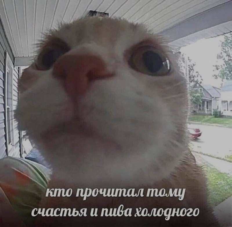 Ночная подборочка
Спать, режим