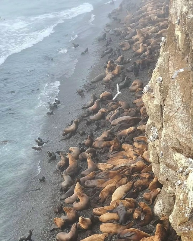 Остров Сахалин 🇷🇺