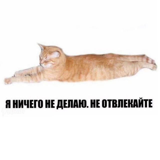 Утренняя подборочка