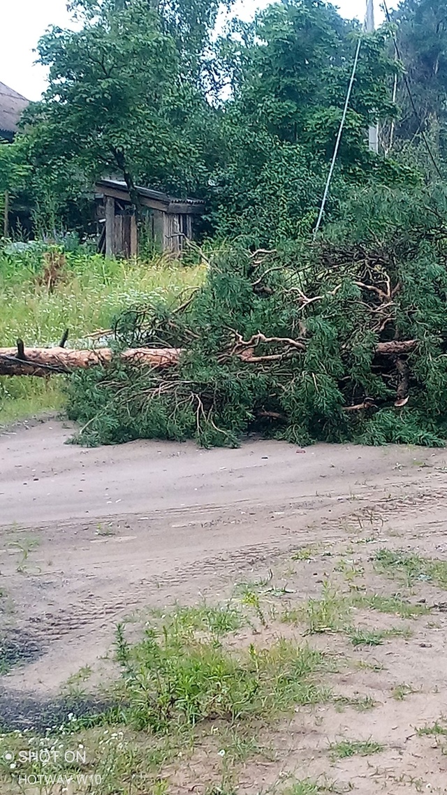 Наплатинская вторые сутки без света...
Фото 15.07.2025 8ч. ут?...