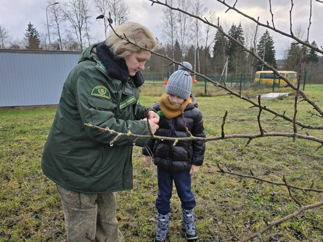 Лесничие отряды открыли птичьи столовые в селе под Мож...