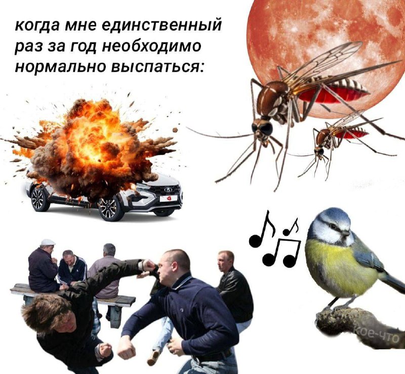 ситуация страшная