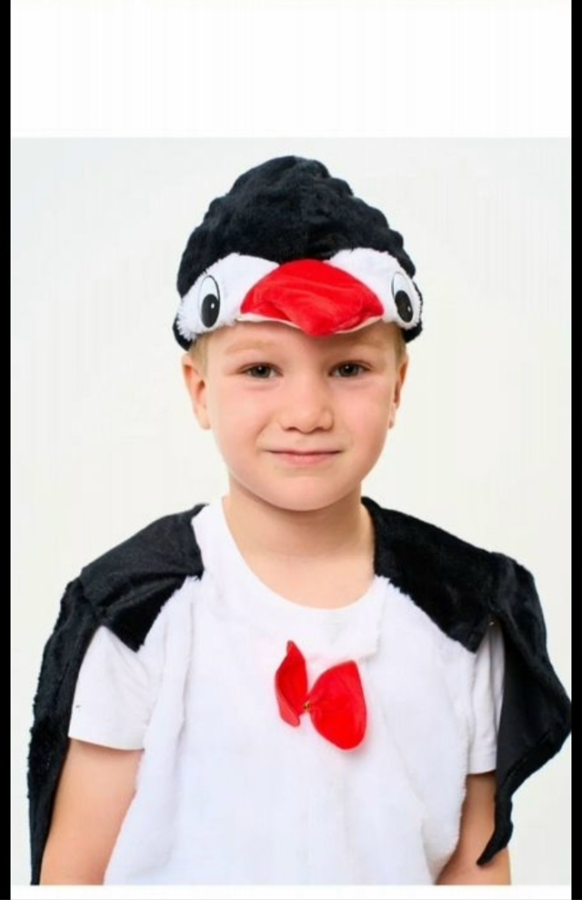 Новогодние костюмы напрокат! Есть много других костюм?...