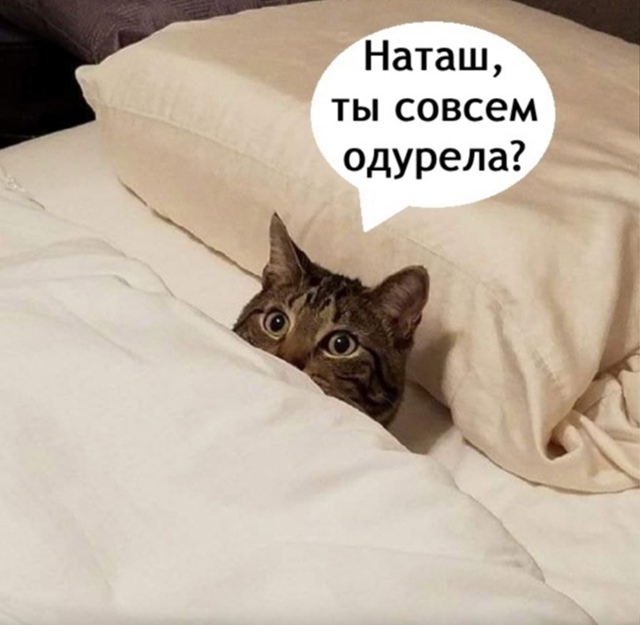 И побыстрее вали на свою работу😅