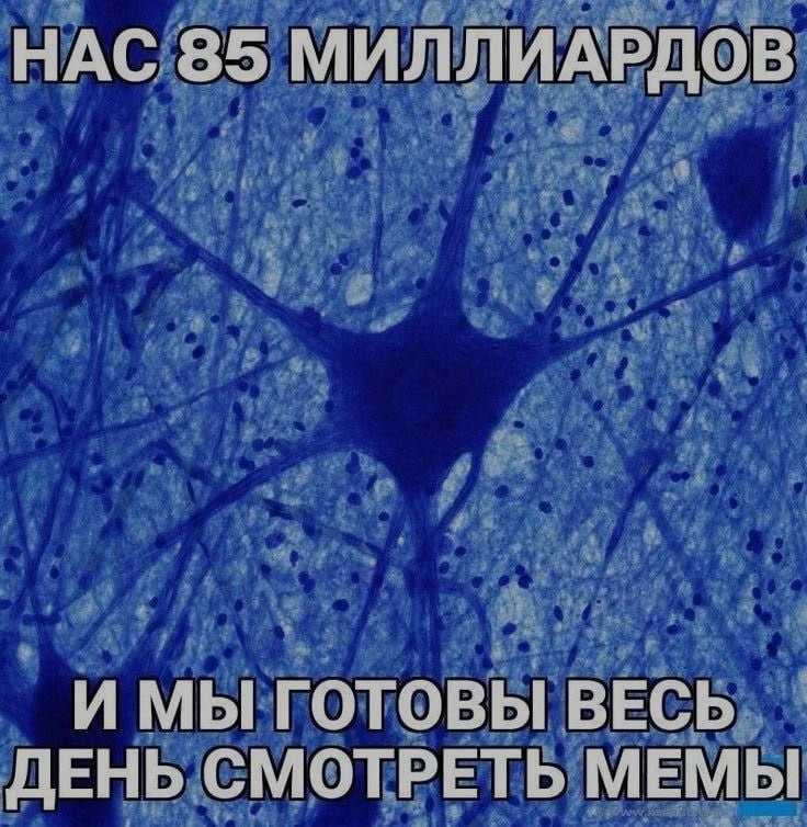 Ночная подборочка
Спать, режим