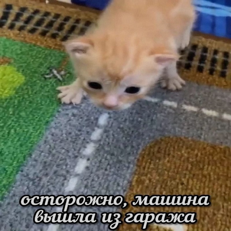 Ночная подборочка
Спать, режим