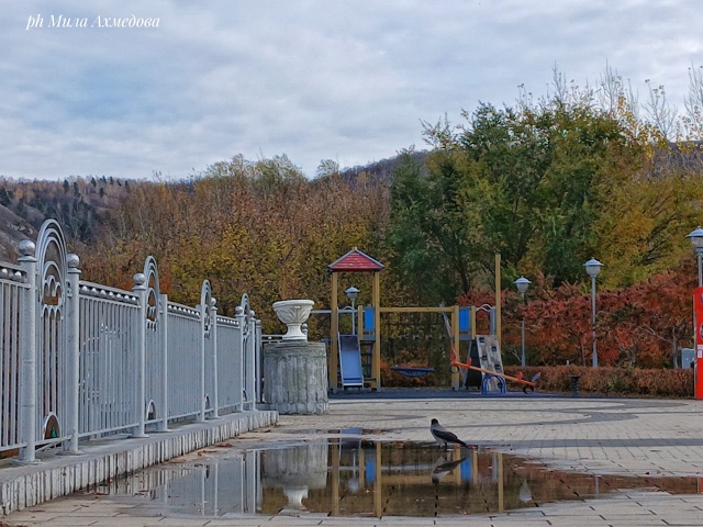 🍁🍂
Сегодня, в понедельник октября, на набережной бы?...
