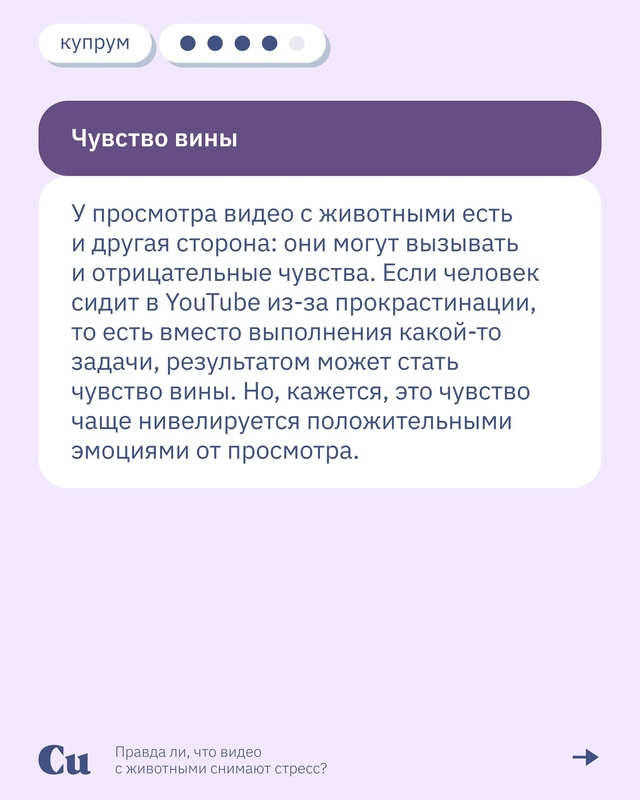 🐶🐱 «Ну какая прелесть! Какой хорошенький!»
А что вам ...