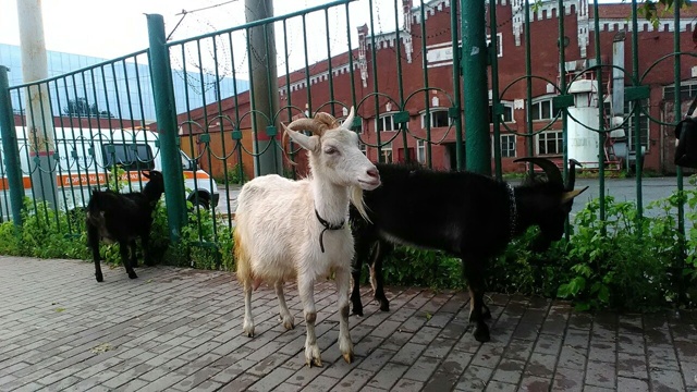 Пермь - большая деревня 😃