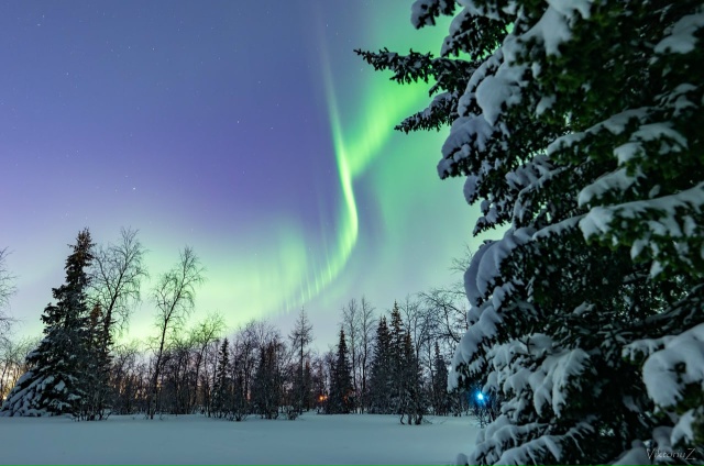 Виктор Куликов наснимал очередную красоту
📸 Тг Охот?...