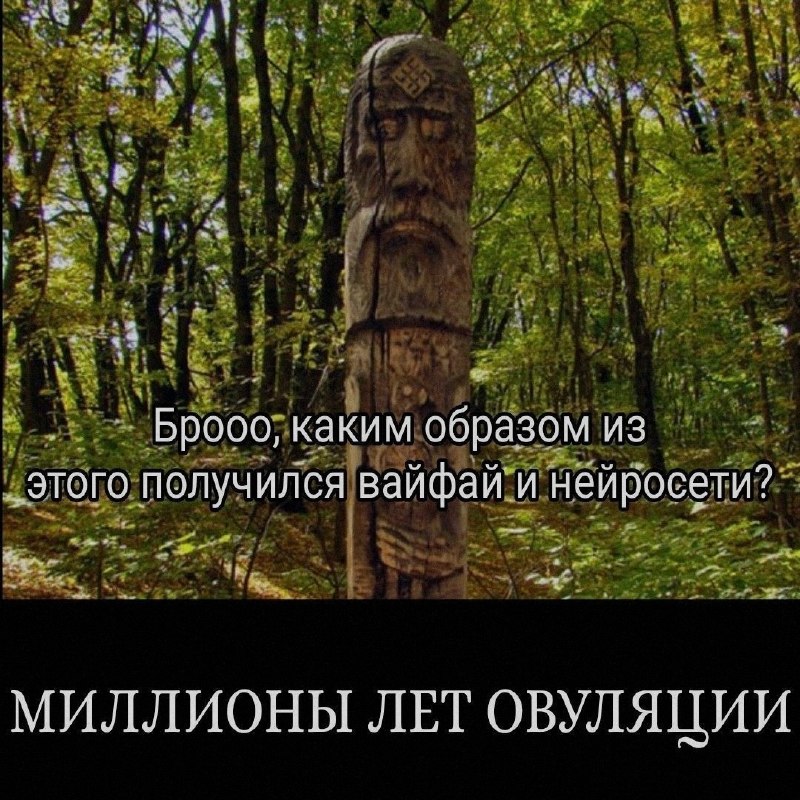 Ночная подборочка
Спать, режим