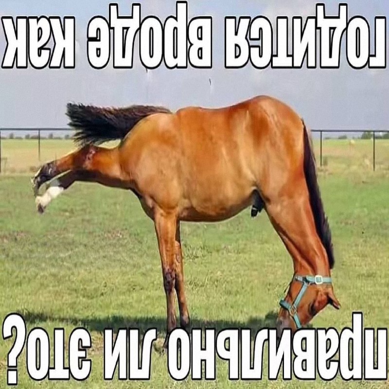 Утренняя подборочка