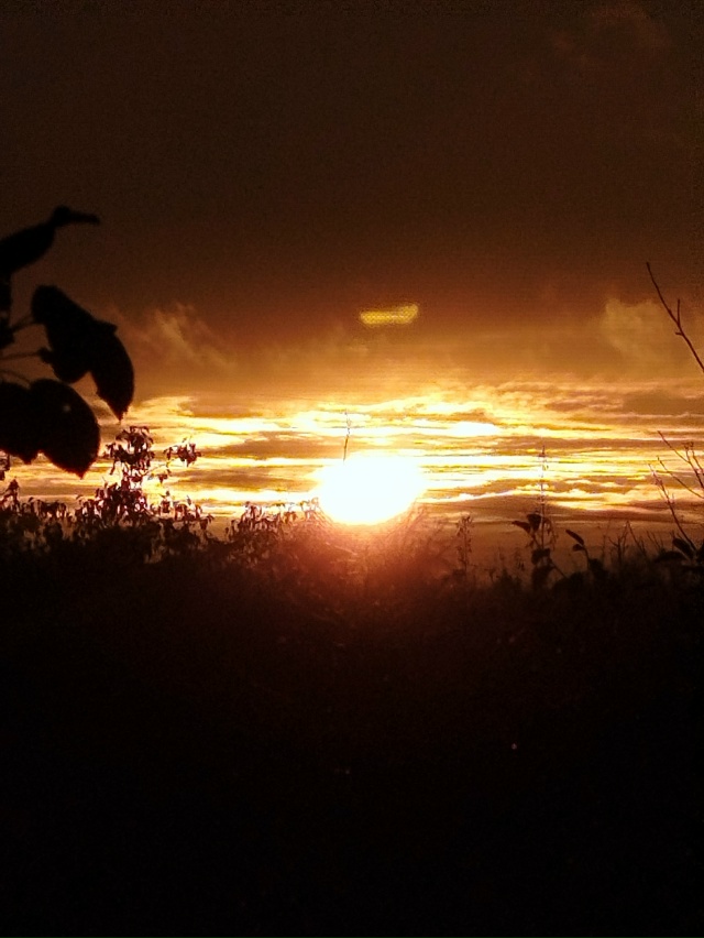 Закат сегодня...