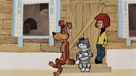 В России планируют ограничить количество собак и коше?...