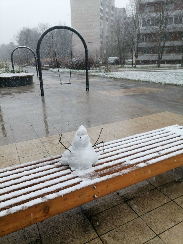 Появились первые снеговики. Радуются снегу и с удоволь...